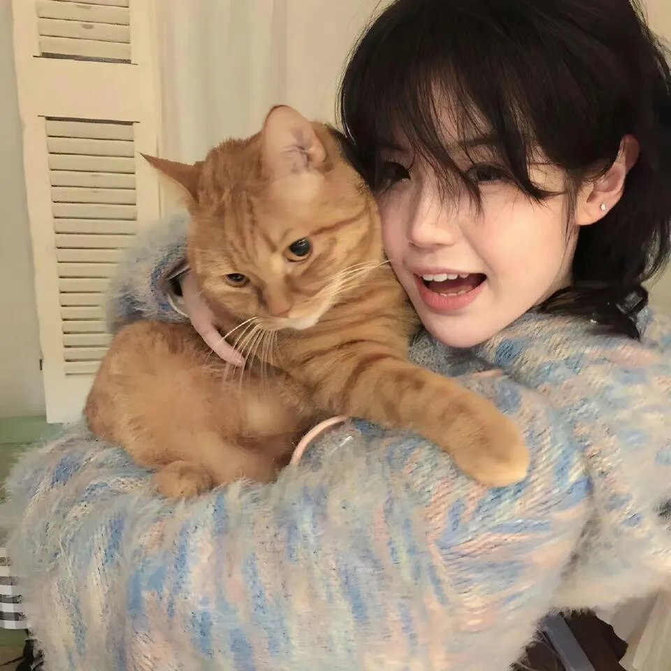 我的顶流老婆太可爱